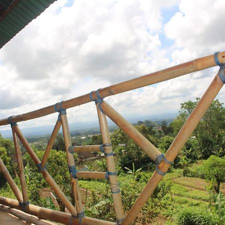 Appartamento Bali Tree House Pelangi Bedugul  Esterno foto