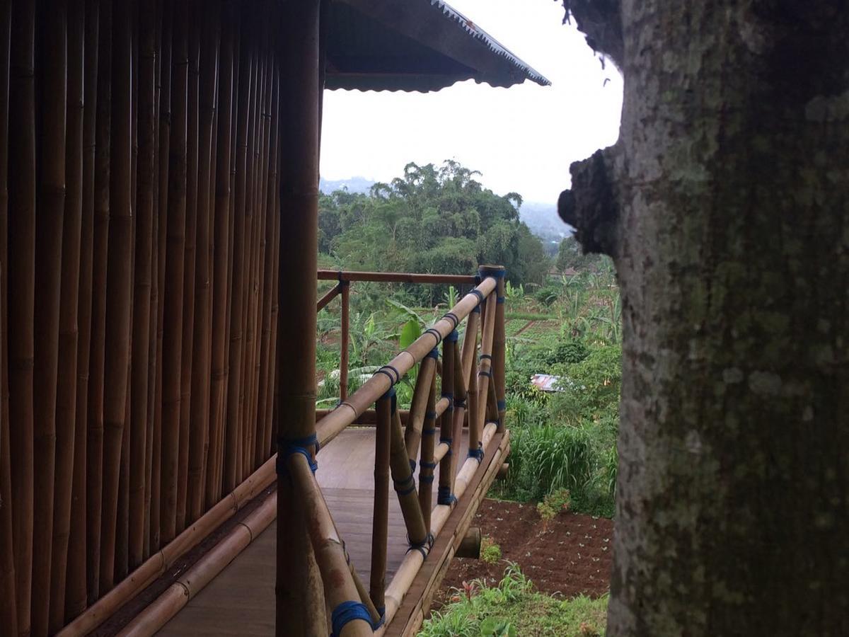 Appartamento Bali Tree House Pelangi Bedugul  Esterno foto