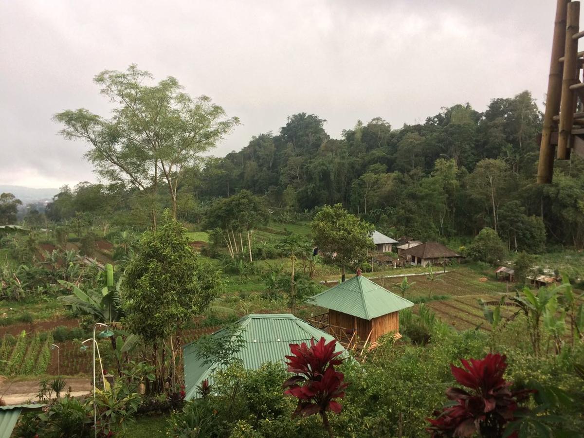 Appartamento Bali Tree House Pelangi Bedugul  Esterno foto