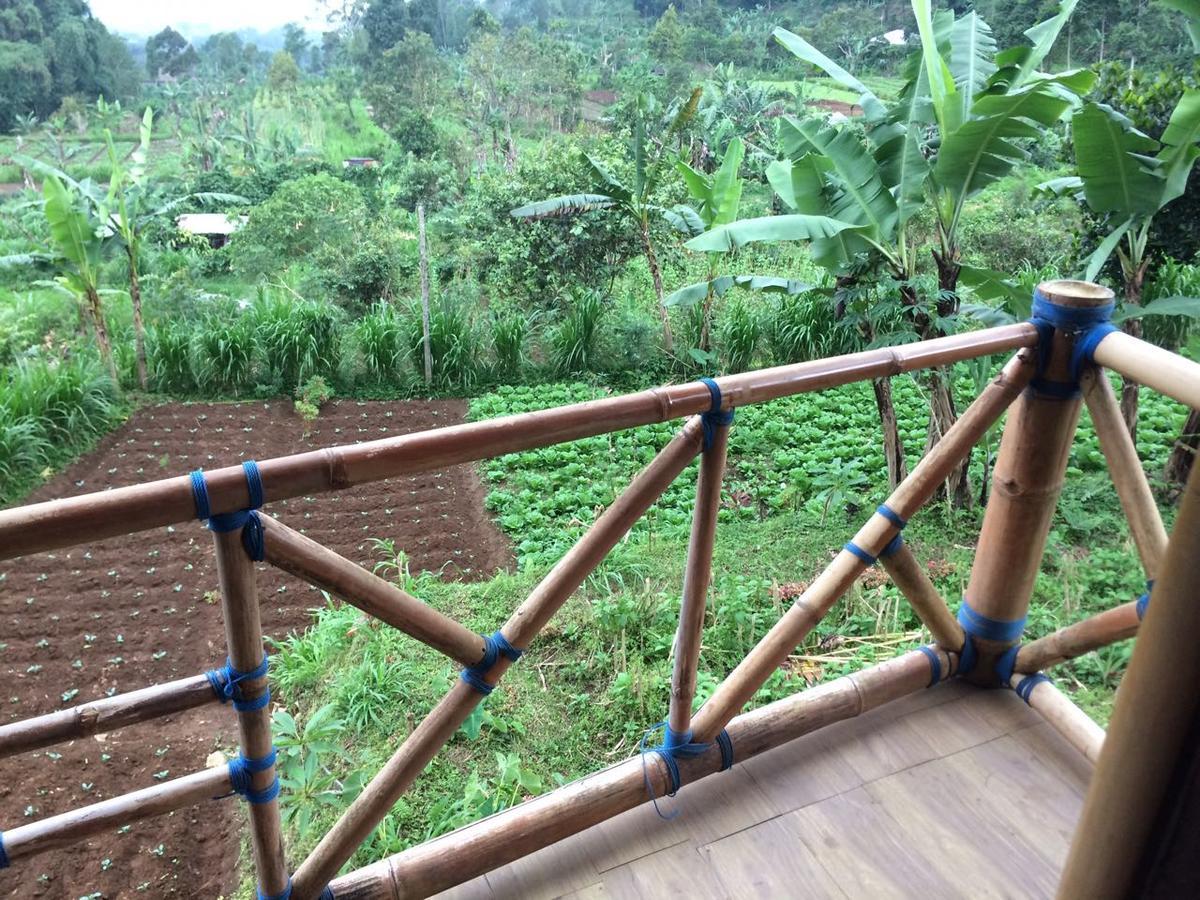 Appartamento Bali Tree House Pelangi Bedugul  Esterno foto