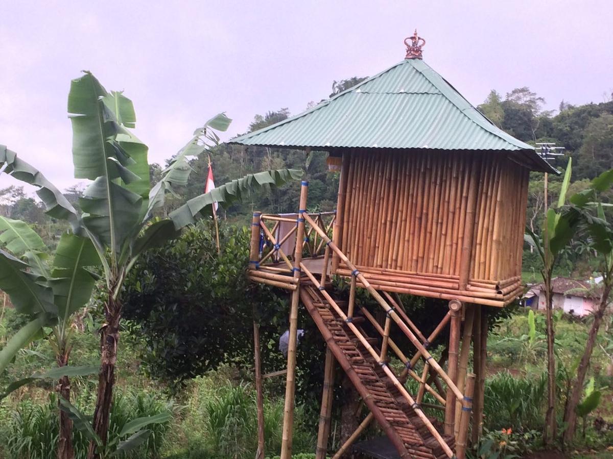 Appartamento Bali Tree House Pelangi Bedugul  Esterno foto