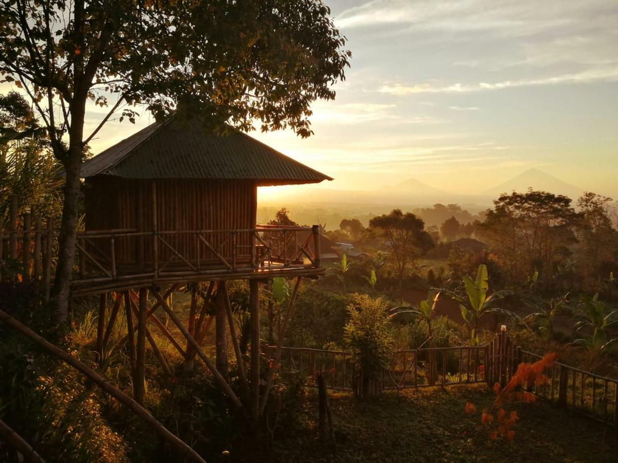 Appartamento Bali Tree House Pelangi Bedugul  Esterno foto