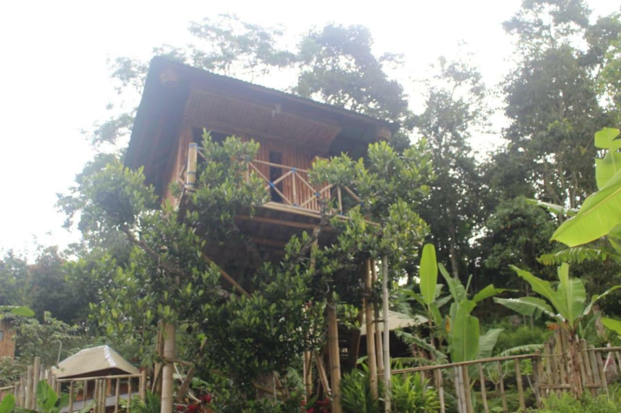 Appartamento Bali Tree House Pelangi Bedugul  Esterno foto