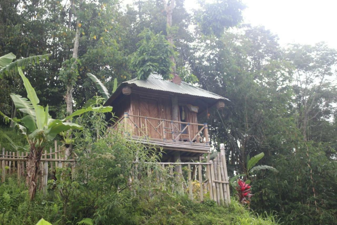 Appartamento Bali Tree House Pelangi Bedugul  Esterno foto