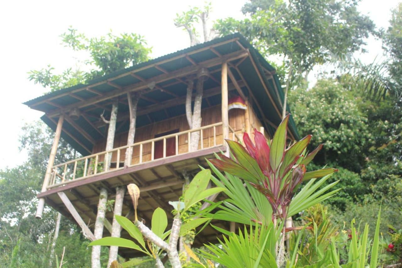 Appartamento Bali Tree House Pelangi Bedugul  Esterno foto