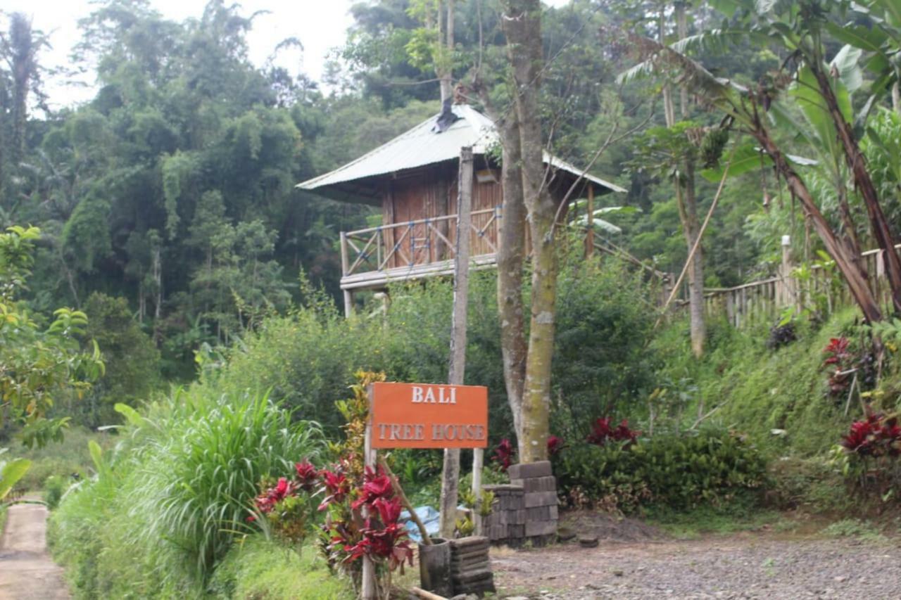 Appartamento Bali Tree House Pelangi Bedugul  Esterno foto