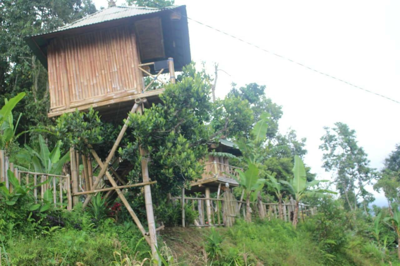 Appartamento Bali Tree House Pelangi Bedugul  Esterno foto