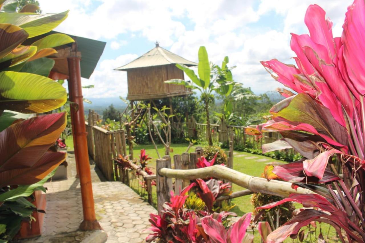 Appartamento Bali Tree House Pelangi Bedugul  Esterno foto