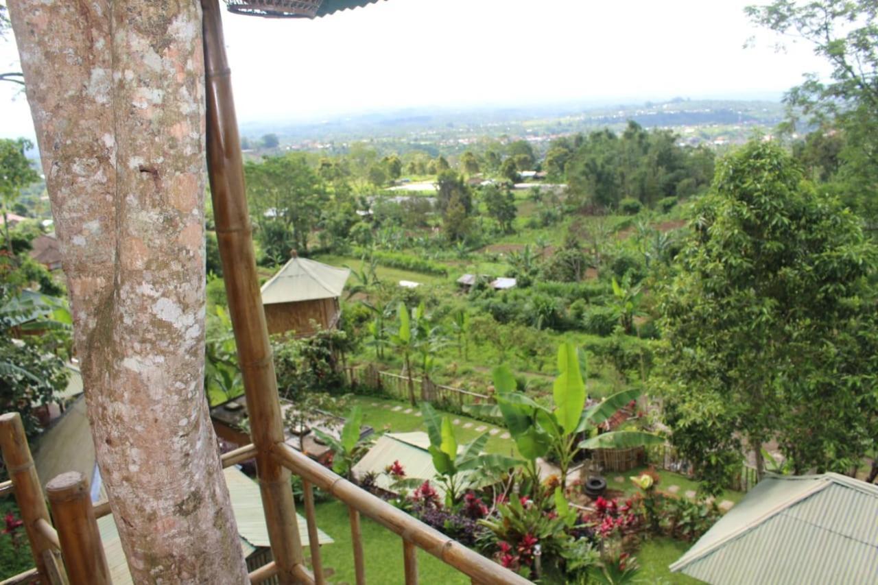 Appartamento Bali Tree House Pelangi Bedugul  Esterno foto