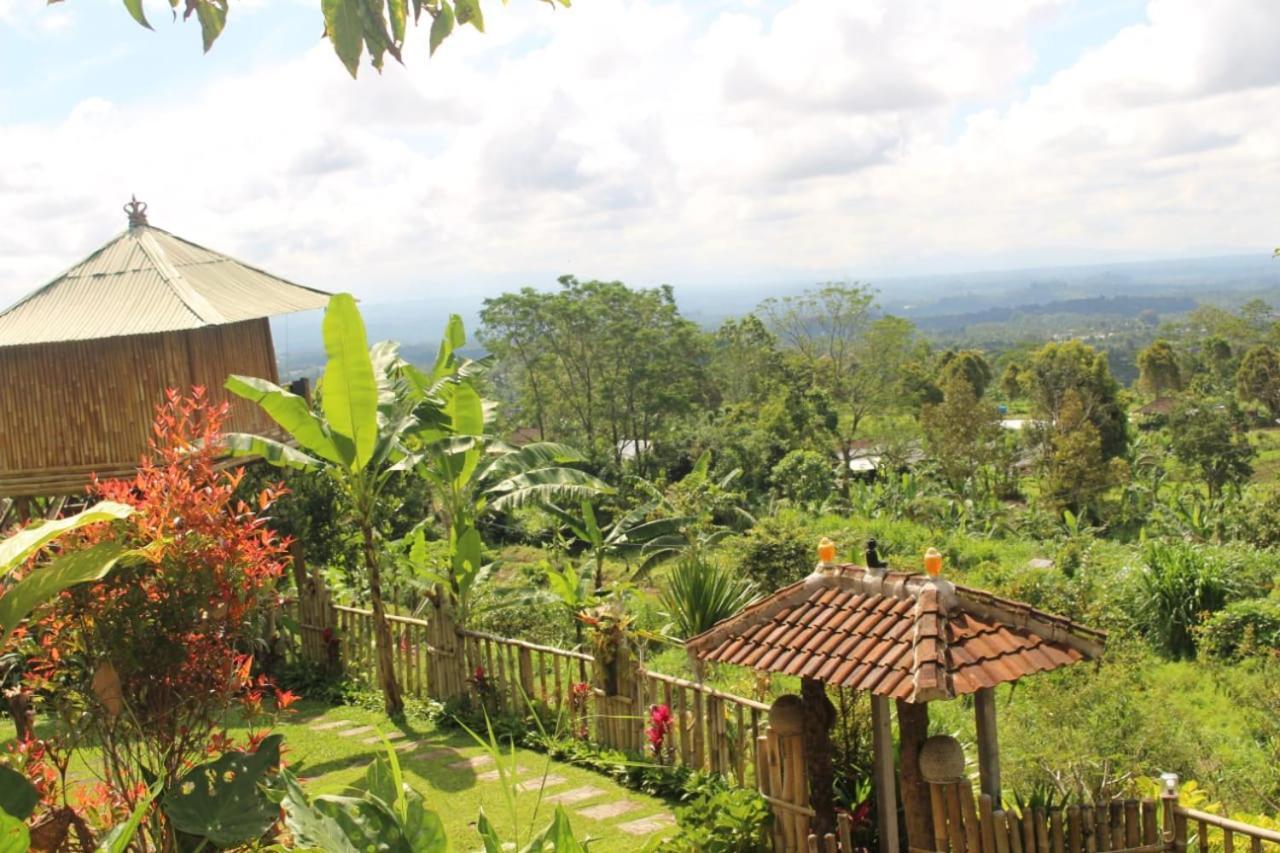 Appartamento Bali Tree House Pelangi Bedugul  Esterno foto
