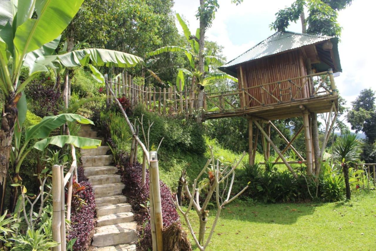 Appartamento Bali Tree House Pelangi Bedugul  Esterno foto