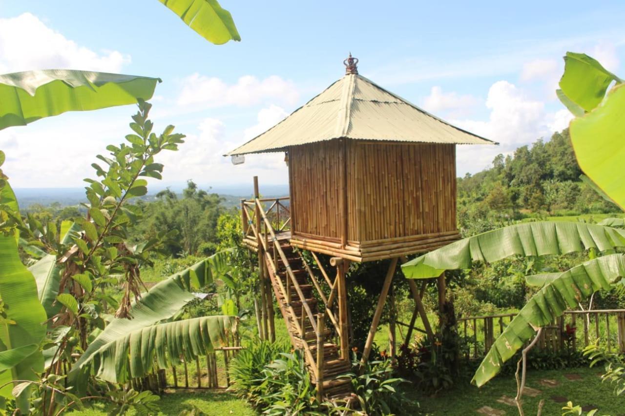 Appartamento Bali Tree House Pelangi Bedugul  Esterno foto