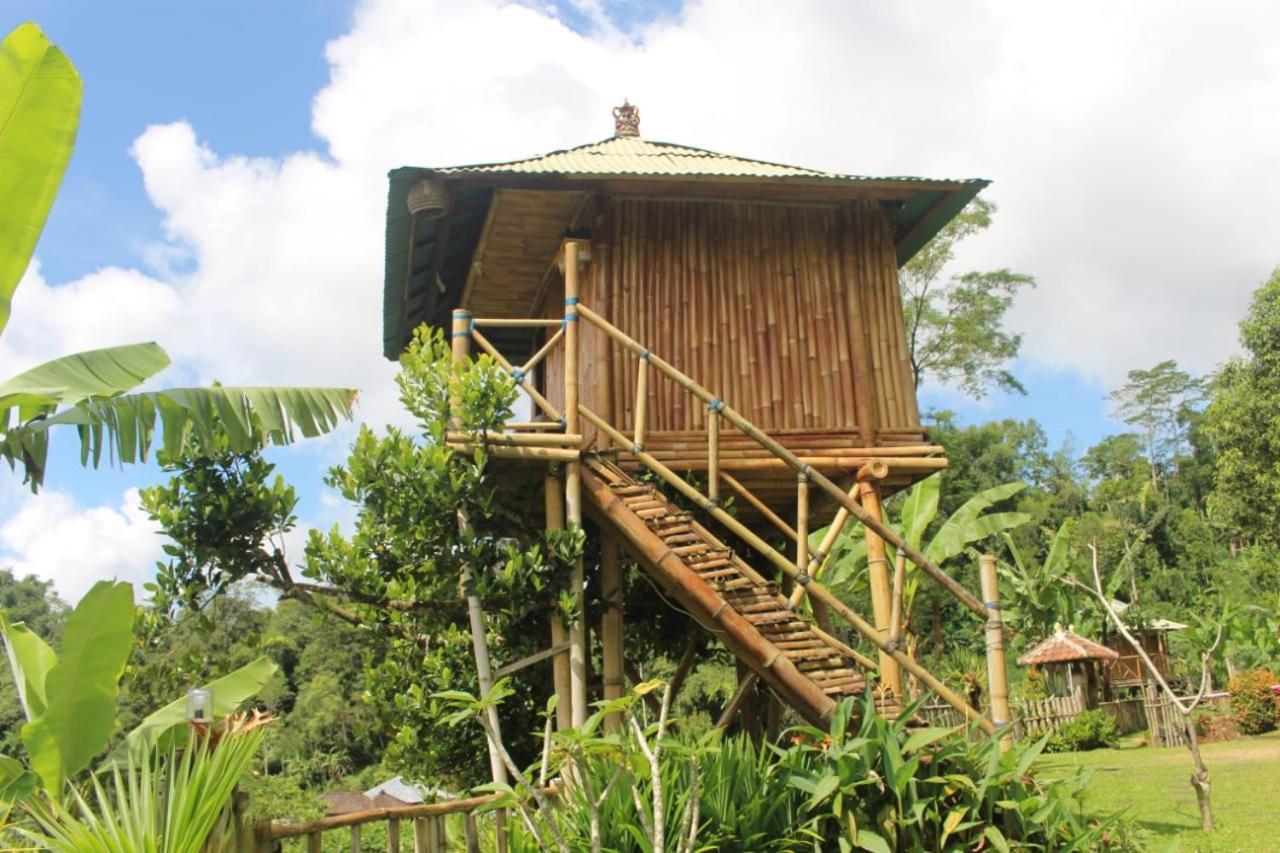 Appartamento Bali Tree House Pelangi Bedugul  Esterno foto