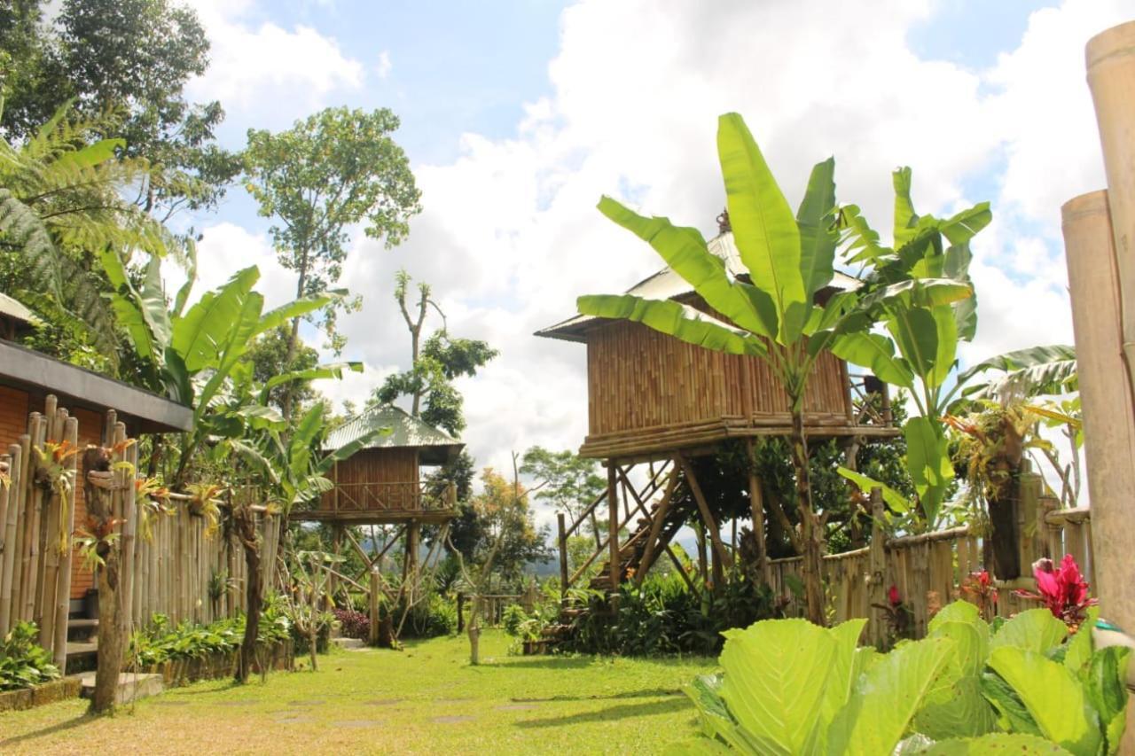 Appartamento Bali Tree House Pelangi Bedugul  Esterno foto