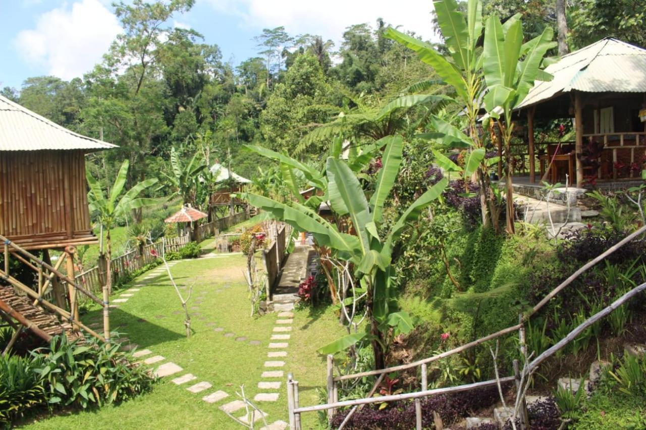 Appartamento Bali Tree House Pelangi Bedugul  Esterno foto