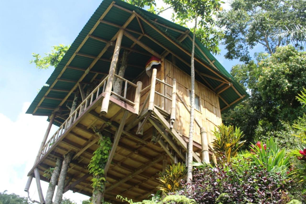 Appartamento Bali Tree House Pelangi Bedugul  Esterno foto