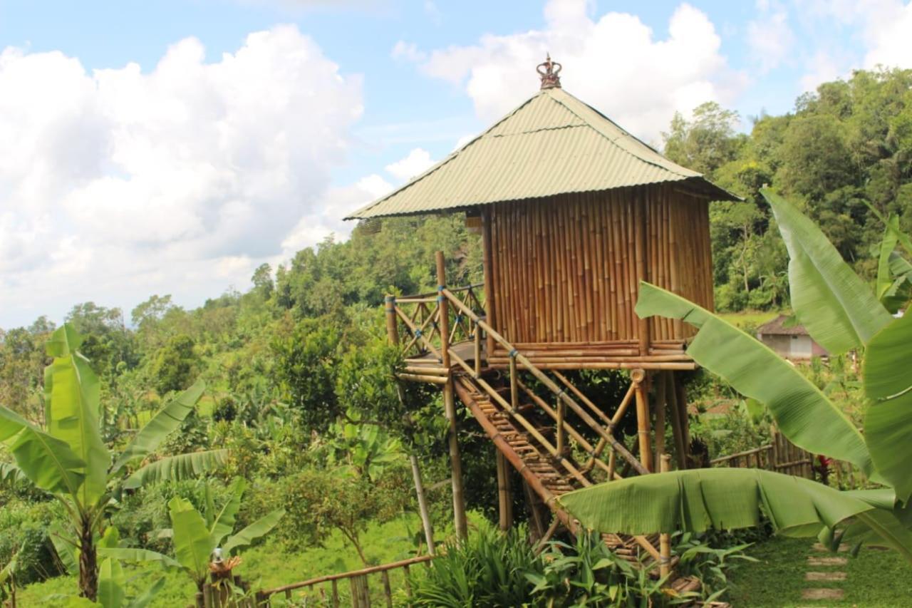 Appartamento Bali Tree House Pelangi Bedugul  Esterno foto
