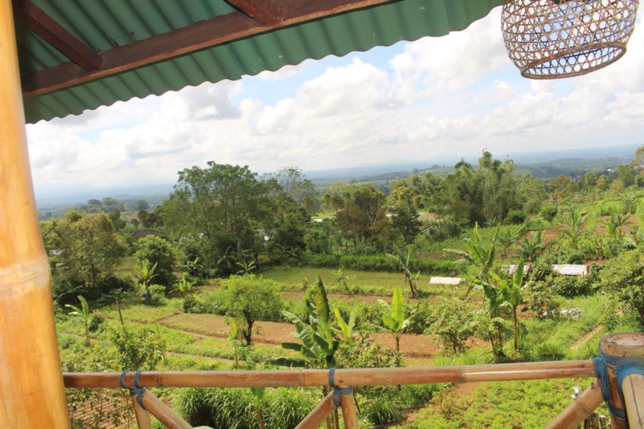 Appartamento Bali Tree House Pelangi Bedugul  Esterno foto