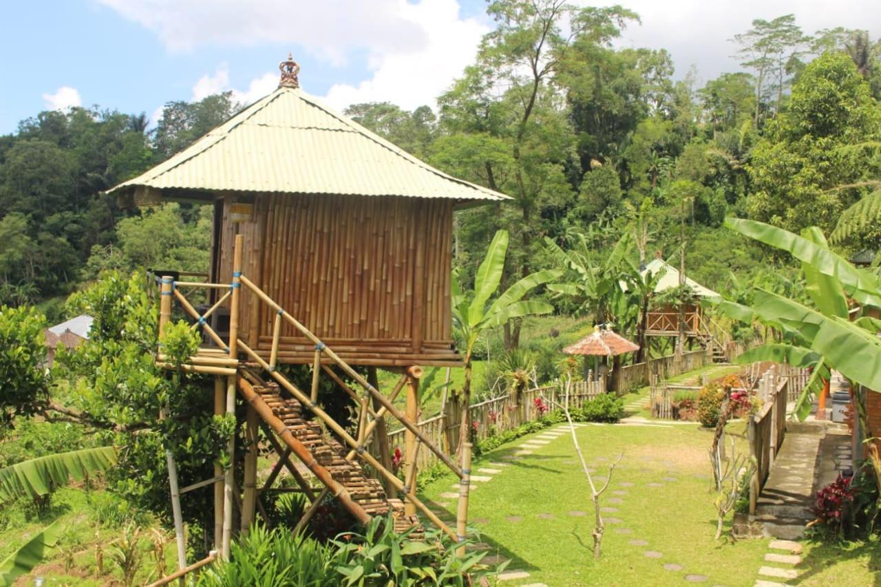 Appartamento Bali Tree House Pelangi Bedugul  Esterno foto