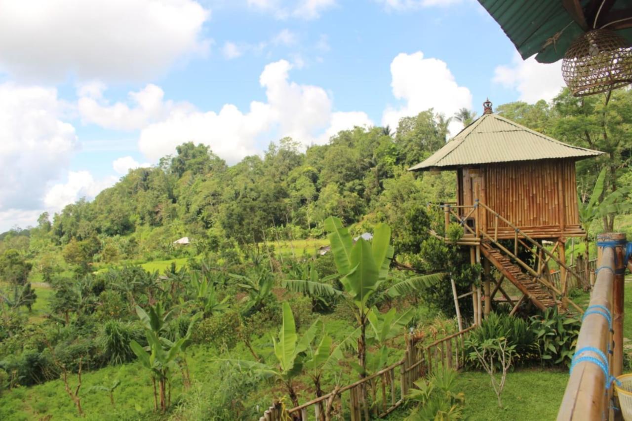 Appartamento Bali Tree House Pelangi Bedugul  Esterno foto